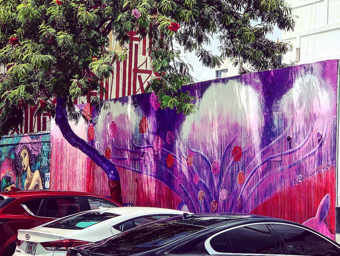 Different Side Of Miami9