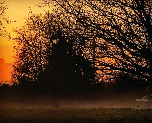 Patterns At Dawn