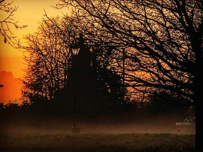 Patterns At Dawn